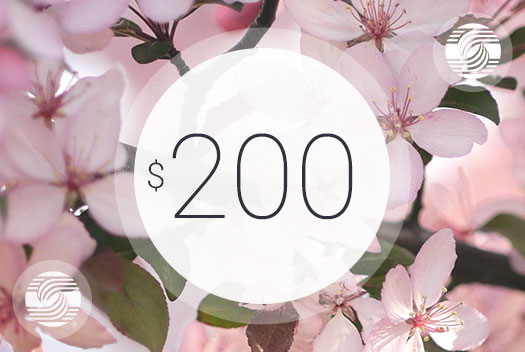 Gift Certificate – $200