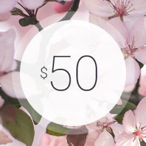 Gift Certificate – $50