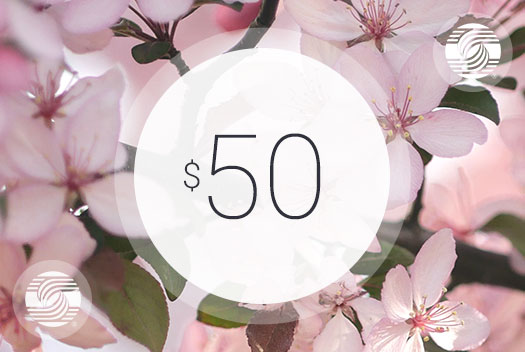 Gift Certificate – $50